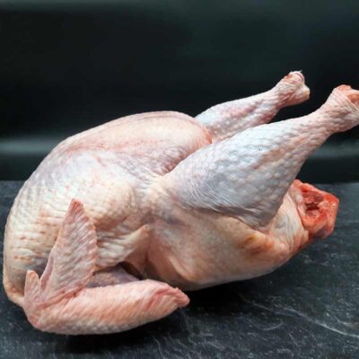 Ganzer Truthahn / ganze Pute